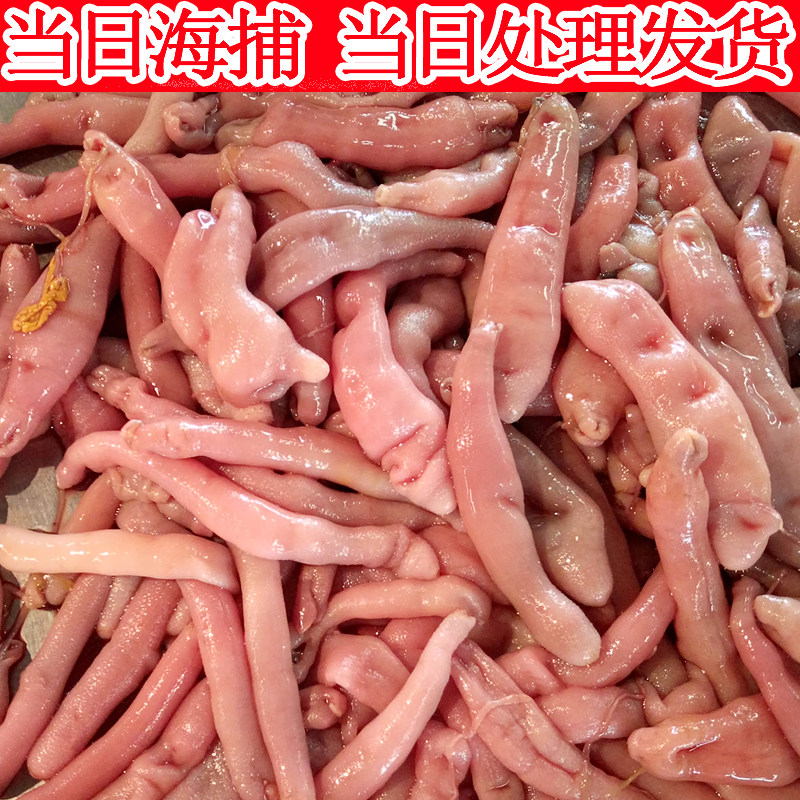 新鲜野生海肠子海鲜鲜活现杀海肠子皮即食活的沙虫250g海鲜海鲜