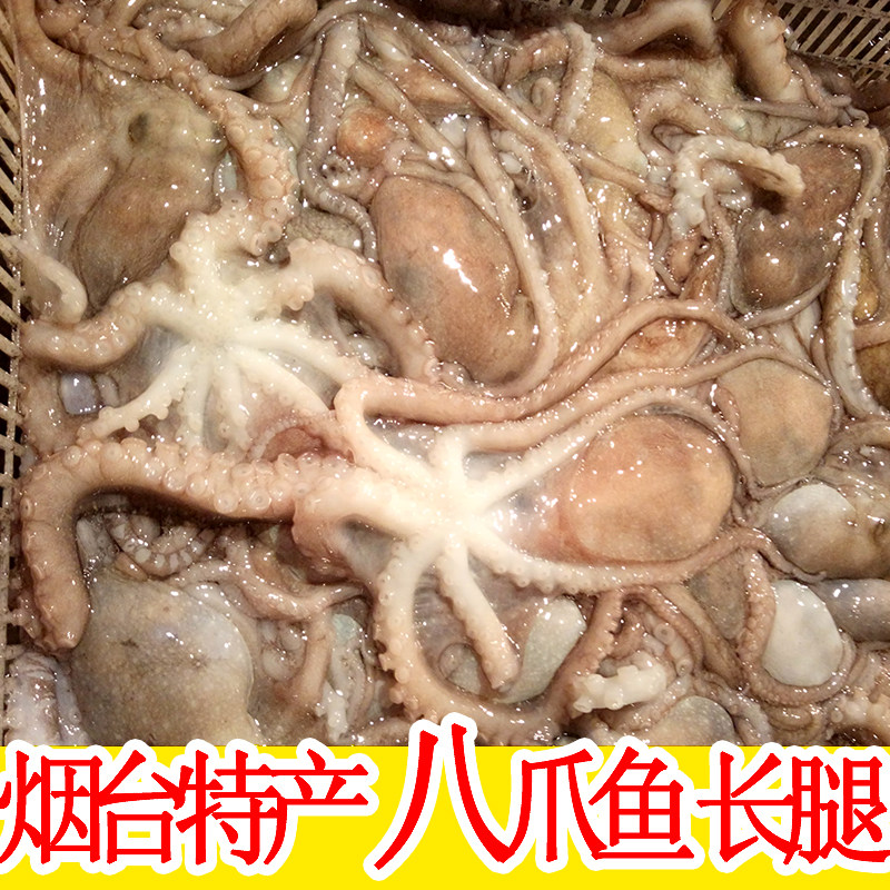 活长腿章鱼短腿八爪鱼海鲜鲜活新鲜墨鱼鱿鱼水产网红大爆头 1斤价