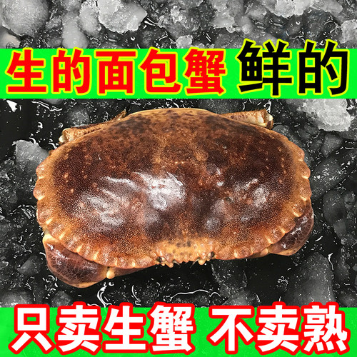 面包蟹帝王蟹鲜活活体新鲜