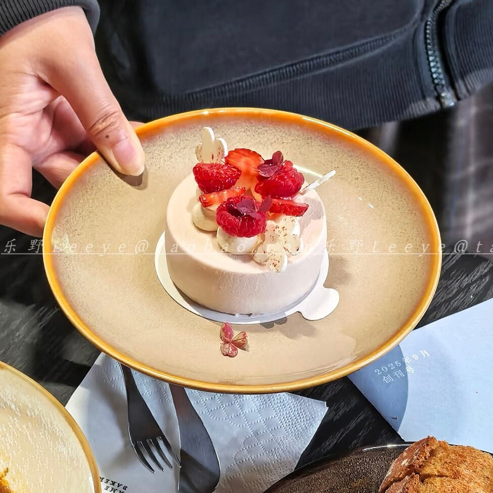 家用菜盘高级感西餐创意平盘