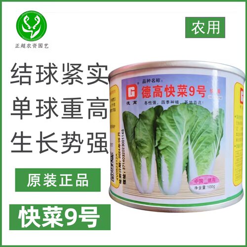 德高快菜9号快菜种子小白菜结球紧实长得快高产美观好吃优质蔬菜
