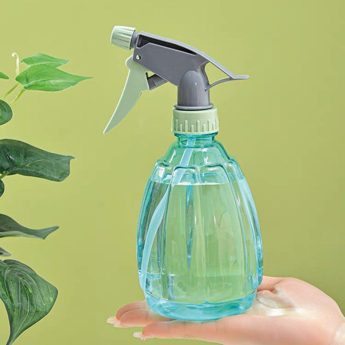 糖果色喷壶10包种子特惠气压式浇水浇花喷雾瓶组合购买更方便种菜