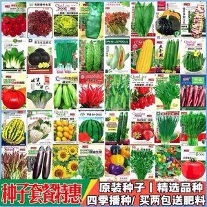 菜种蔬菜籽种瓜果种子籽孑香菜小葱种植套餐盆栽室内阳台园艺四季