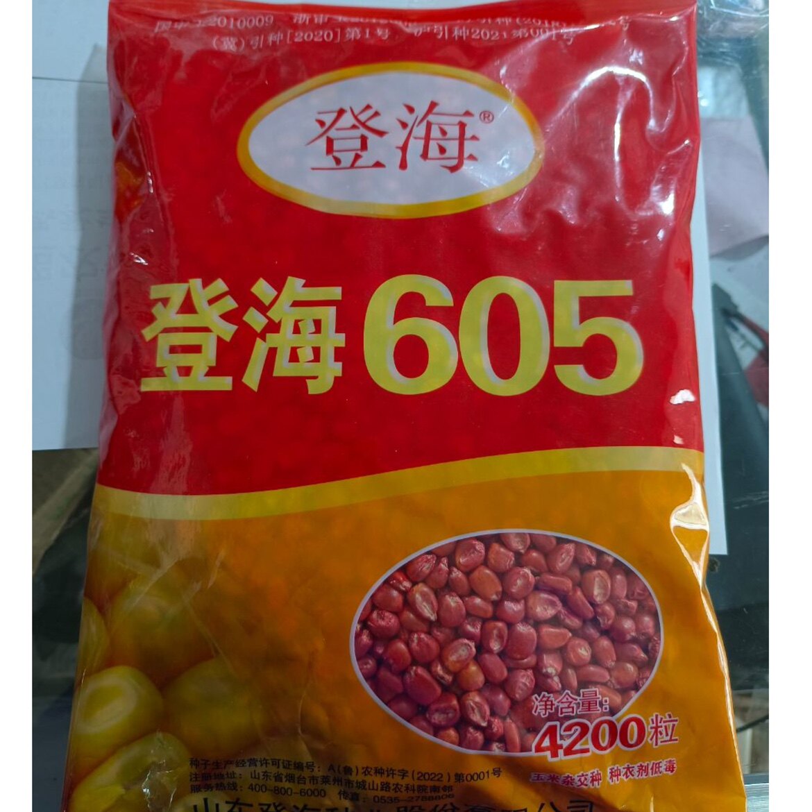 国审玉米种登海605玉米种子高产抗倒伏矮杆品种2024必种新货已到