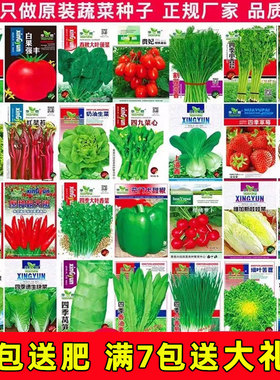 蔬菜种子大全粉丝特惠四季适播西瓜甜瓜黄瓜番茄家庭阳台露天种植