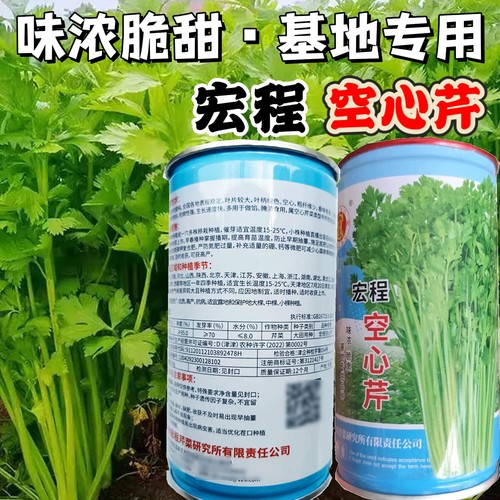 宏程空心芹菜种子基地专用味浓脆甜营养丰富蔬菜种子四季芹菜种籽