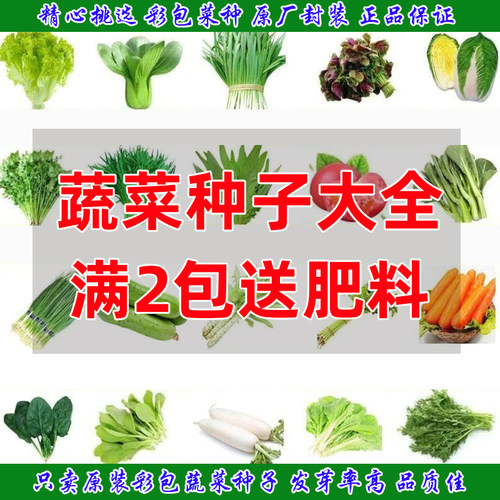 四季种子蔬菜种子农科院