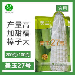 美兰 美玉27号加甜糯白糯玉米种子升级版高产矮杆大棒鲜食糯玉米