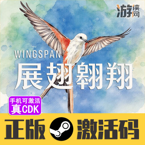 正版Steam展翅翱翔CDK手机可激活