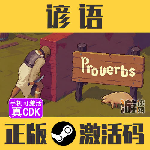 正版Steam谚语CDKEY手机可激活
