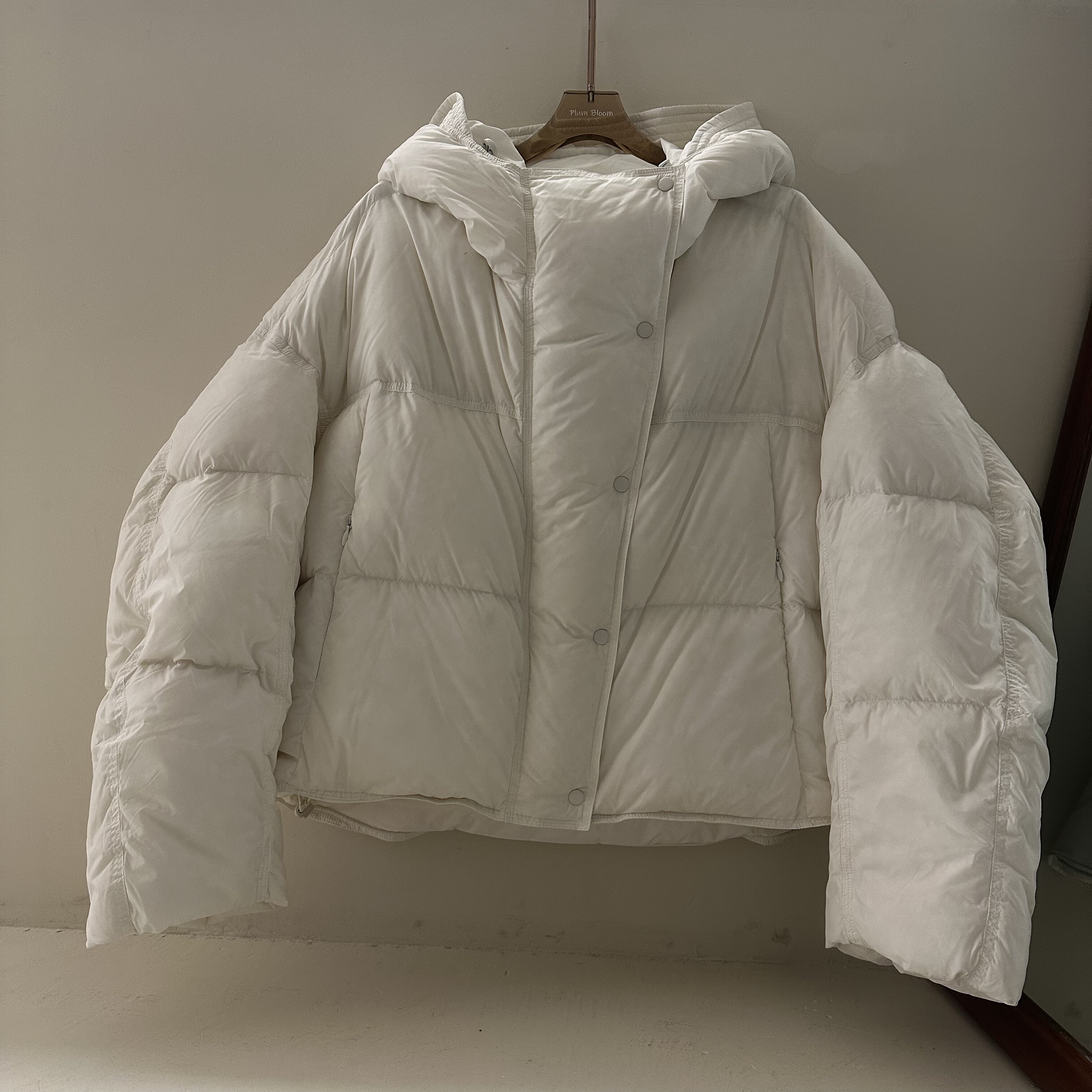 2025韩系设计款鹅绒服冬季新款韩版宽松休闲韩版连帽设计