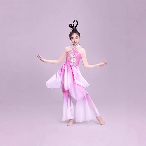 女童古典舞演出服儿童扇子舞表演服中国舞古风飘逸落花舞蹈服套装