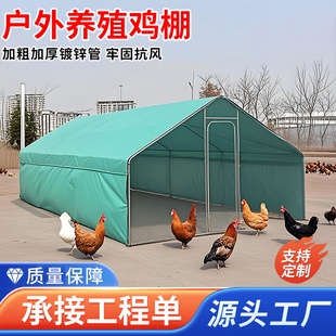 养殖鸡鸭棚鸽舍大棚户外养鸡棚家禽搭建室外养鸡棚大型家用鸡笼子