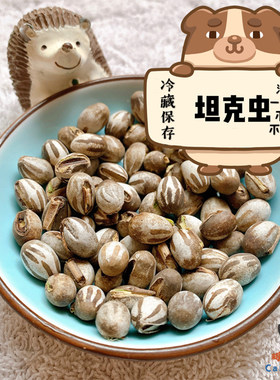 蜜袋鼬坦克虫蜜袋鼯仓鼠飞鼠高脂肪蛋白营养育肥零食鲜活虫子