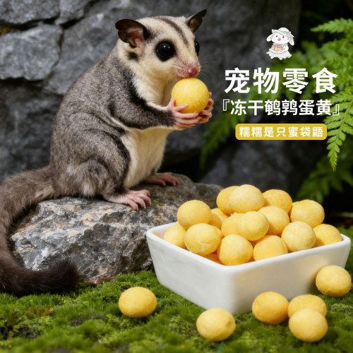 【糯糯冻干鹌鹑蛋黄】蜜袋鼯松鼠猫咪狗狗零食卵磷脂美毛补钙增肥
