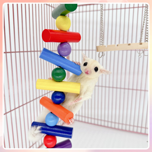 小秋千彩虹磨牙串蜜袋鼯