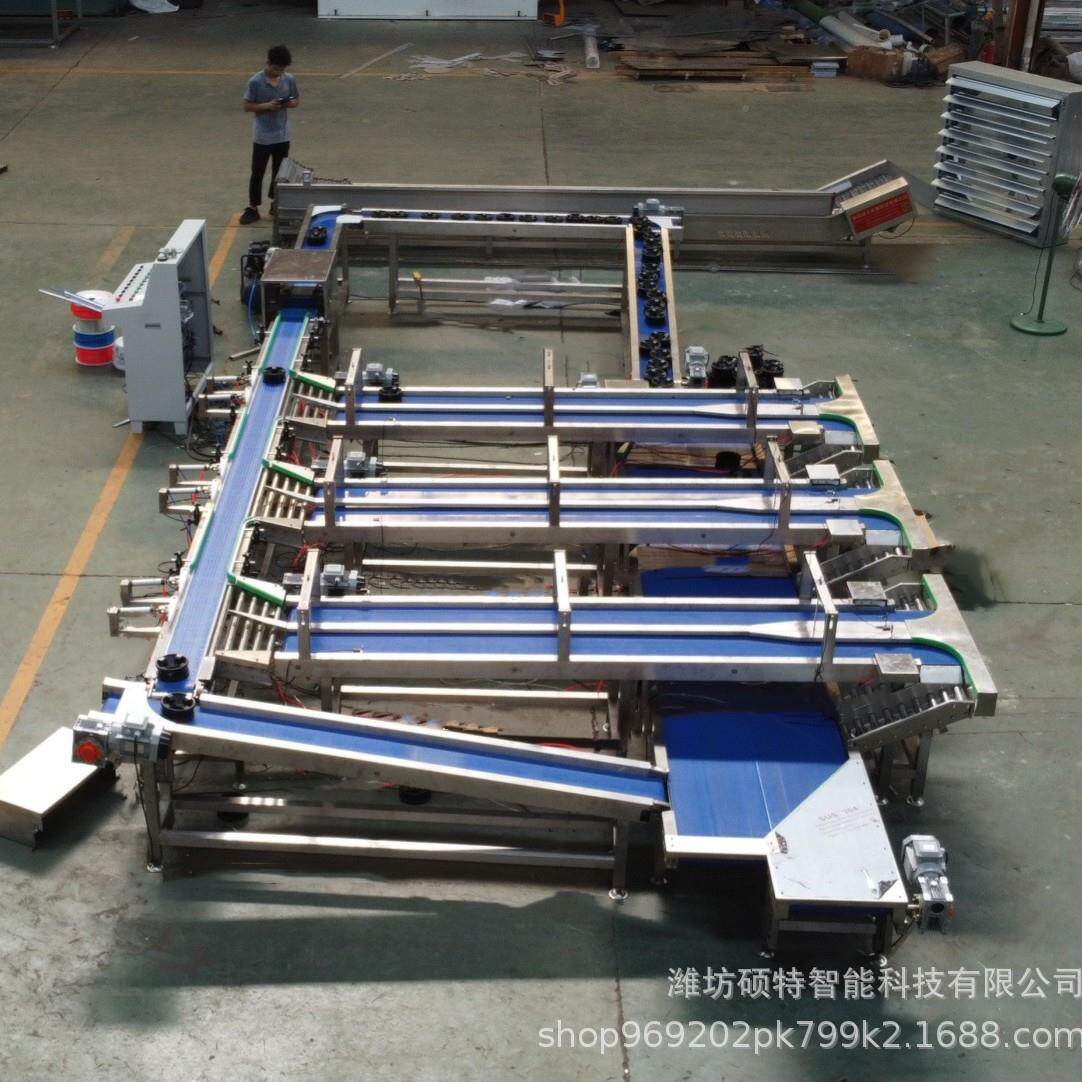 人能参果无损称重分选机 帝苹果护式智选果呵机LZQ 芒果果托式分