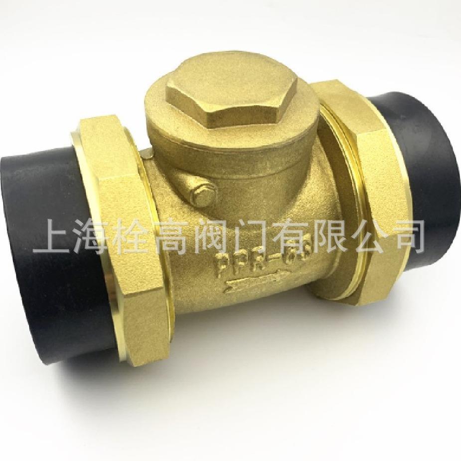 供应 PE接口铜横式止回阀 热熔PE接口卧式单向阀口径DN15-DN110