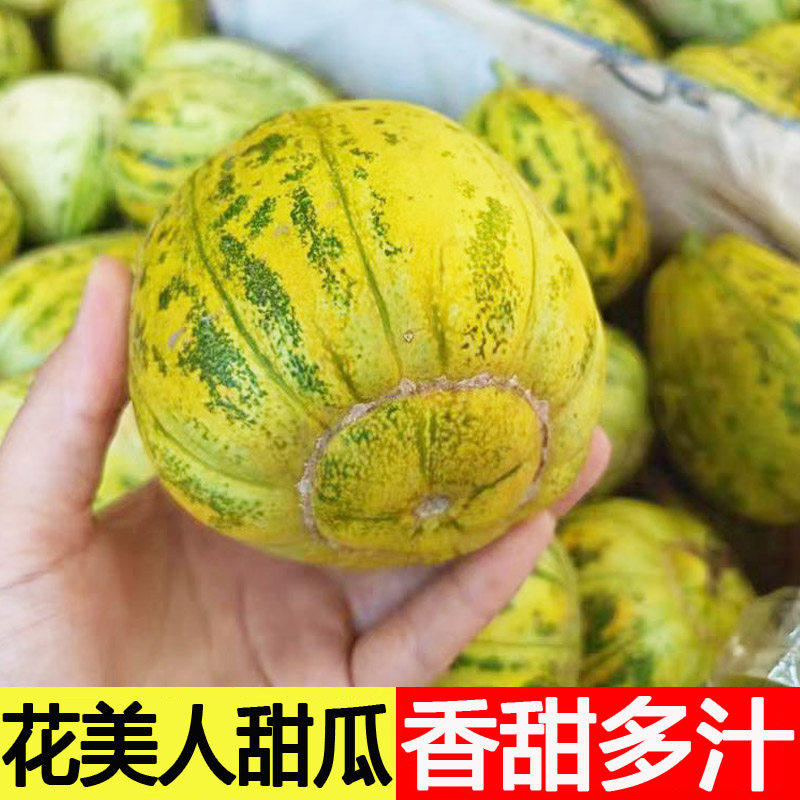 山东花美人甜瓜八里香瓜新鲜现摘包邮应季孕妇水果花蕾甜瓜花姑娘