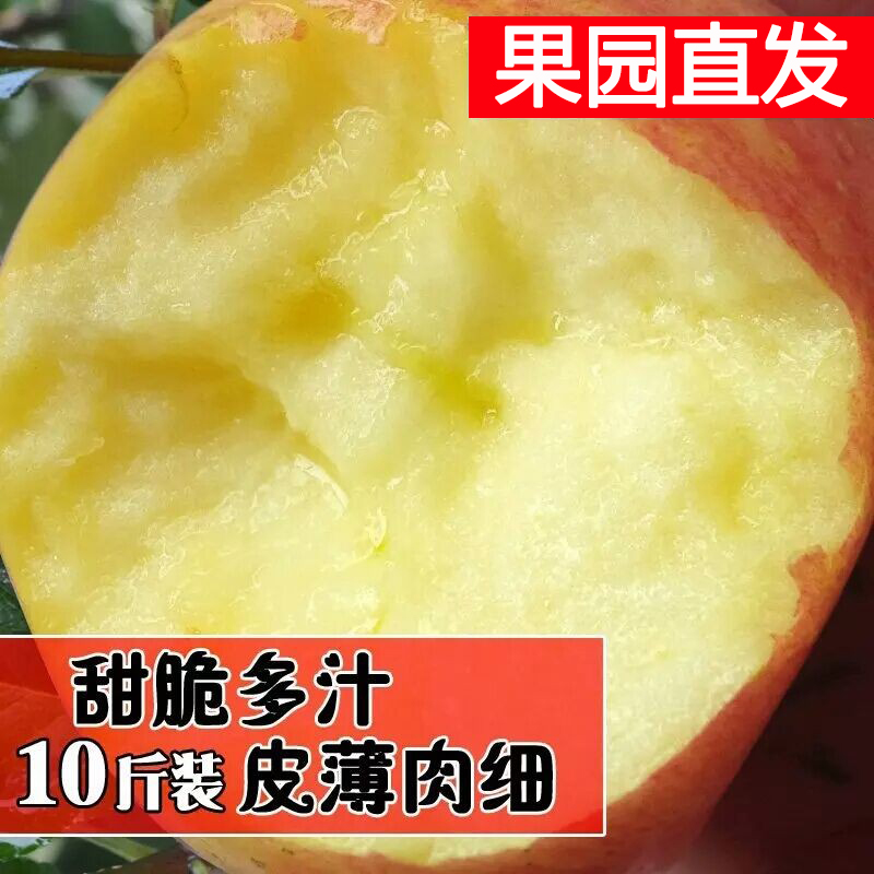 苹果水果徐州丰县大沙河苹果10斤带箱红富士冰糖心脆甜野生丑萍果,水产肉类/新鲜蔬果/熟食,苹果,淘宝优惠券,粉丝福利购,淘宝优惠卷