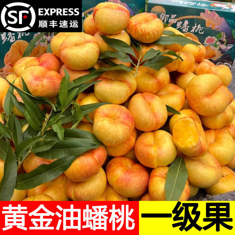 黄金油蟠桃新鲜水果当季整箱蒙阴时令水果孕妇脆桃彩虹油蟠桃扁桃