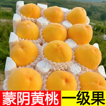 蒙阴黄桃黄金蜜桃果当季新鲜水果新鲜桃子锦绣黄毛桃黄金蜜桃脆桃