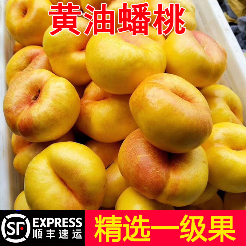 黄金油蟠桃新鲜水果当季整箱蒙阴时令水果孕妇脆桃彩虹油蟠桃扁桃