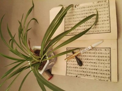 diy学生练字笔满百包邮