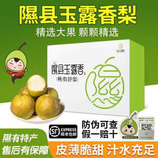 产地优选香梨山西隰县玉露香梨应季整箱水果新鲜包邮送礼顺丰速达