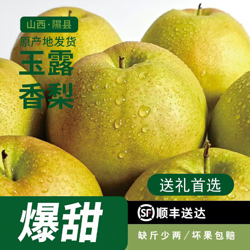 正宗山西隰县玉露香梨当季水果新鲜包邮整箱水果送礼8斤顺丰速达