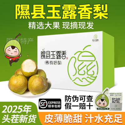 应季水果玉露香梨香梨酥脆多汁