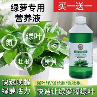 绿概念植物营养液绿萝专用通用型绿植盆栽肥料营养液室内花肥饲料