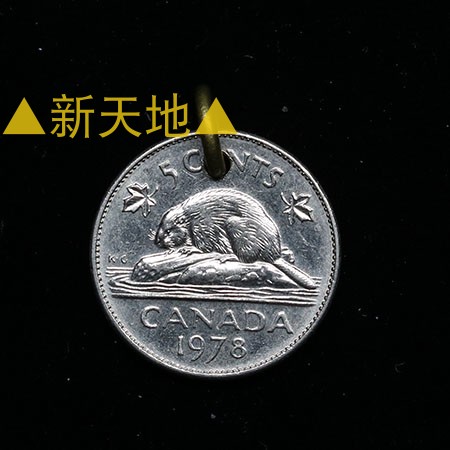 手工制作  外国真硬币 吊坠 幸运币 海狸 21mm镍币 D03一25