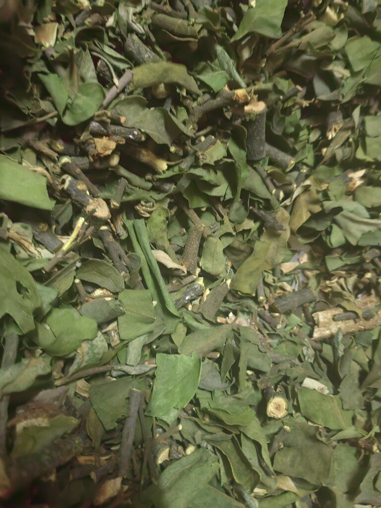 原生态松树寄生 正品中药材云南深山松树寄生干货药用