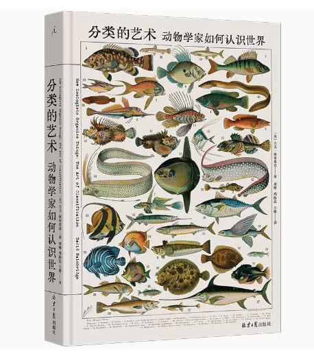 分类的艺术理想国一部艺术