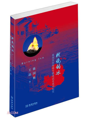 燃烧的冰（我国海域可燃冰试采成功纪实）/陈国栋,王晶/文学/纪实文学类书籍/正版书籍/金城出版社