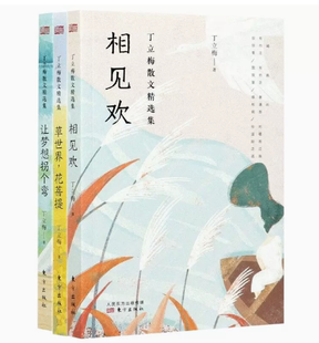 丁立梅经典散文集 全3册 丁立梅经典散文集 指导学生阅读写作工具书文学小说书籍畅