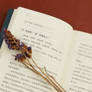 正版现货 讲谈社 诸子的精神套装 老子读本孟子读本 畅销日本近百年的国民级读物 传统文化 国人修身入门书籍