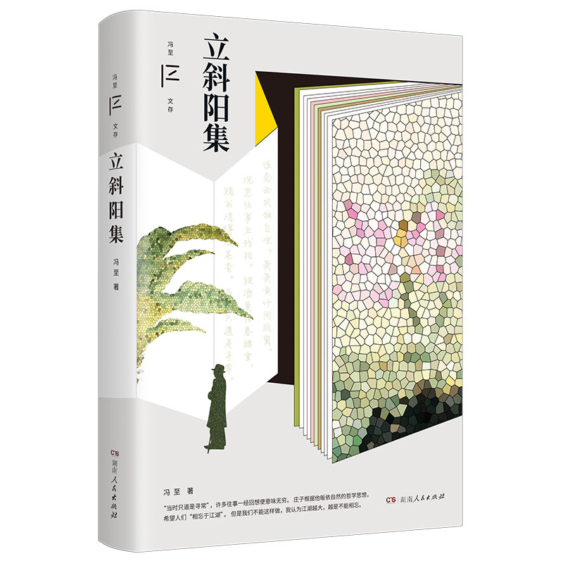 正版现货 立斜阳集纪念冯至先生逝世30周年。收录冯至先生沉思往事、怀师忆友、文艺因缘、创作感怀等文字。江湖越大越是不能相忘
