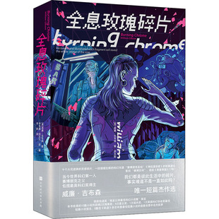 正版现货 全息玫瑰碎片 (美)威廉·吉布森 正版书籍小说畅销书  北京时代华文