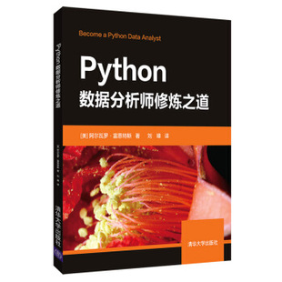 正版现货： Python数据分析师修炼之道 9787302530169 清华大学出版社 [美] 阿尔瓦罗·富恩特斯 著，刘璋 译