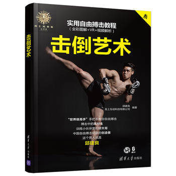 正版现货:击倒艺术