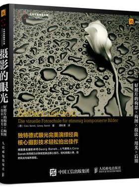 正版现货： 摄影的眼光——好照片的构思 构图 技法 用光 后期 9787115397430 人民邮电出版社 （德）巴内克,（德）巴内克,谭秋果