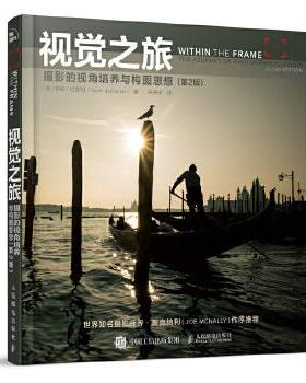正版现货:视觉之旅——摄影的视角培养与构图思想（第2版） 9787115488480 人民邮电出版社 [美]戴维·杜舍明(Did duChemin)
