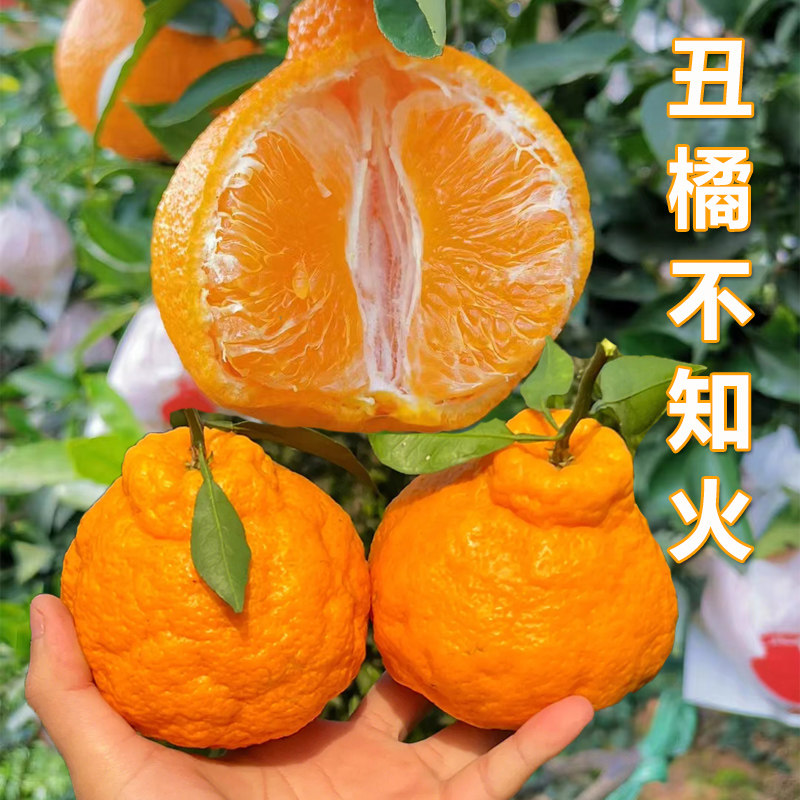 云南不知火丑橘10斤桔子耙耙粑粑八怪柑当季新鲜时令水果,水产肉类/新鲜蔬果/熟食,桔子,淘宝优惠券,粉丝福利购,淘宝优惠卷
