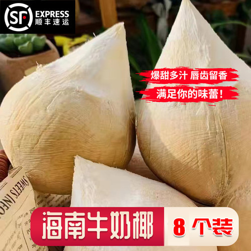 正宗小奶椰新鲜个装当季海南椰子