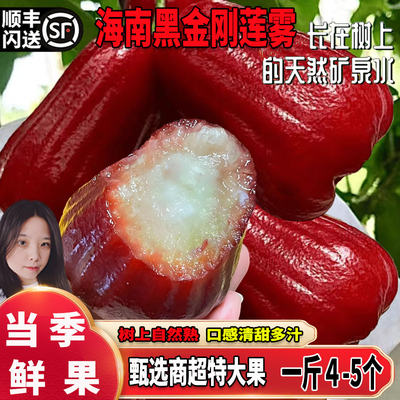 海南三亚黑金刚莲雾特大果水果