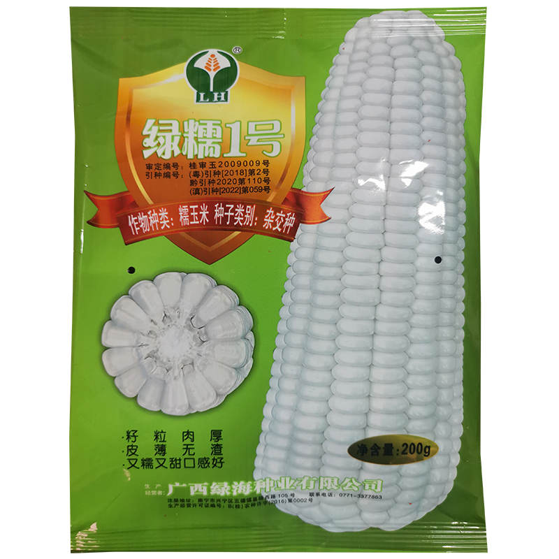 绿糯1号白糯玉米种皮薄无渣籽粒饱满优质大棒甜糯杂交玉米种