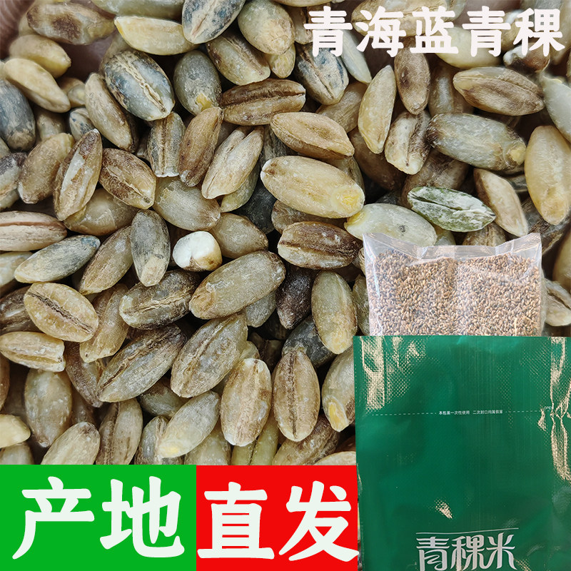 青海直发正宗青稞米新米粗粮