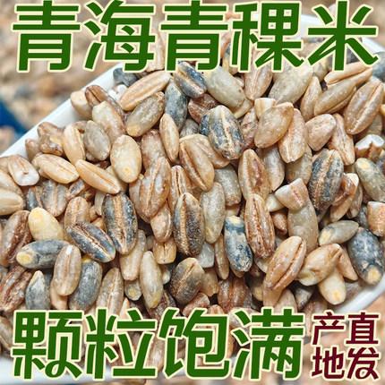 【厂家直销】青海蓝青稞米新米藏区直发当季新米杂粮组合颗粒饱满